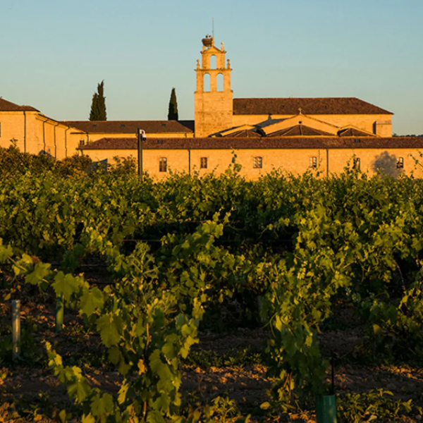 Finca Villacreces